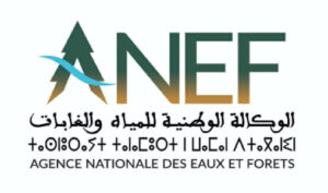 الصويرة تحتضن حدثا وطنيا للصيد الترفيهي احتفاءً بالمسيرة الخضراء وتعزيزا للسياحة الإيكولوجية
