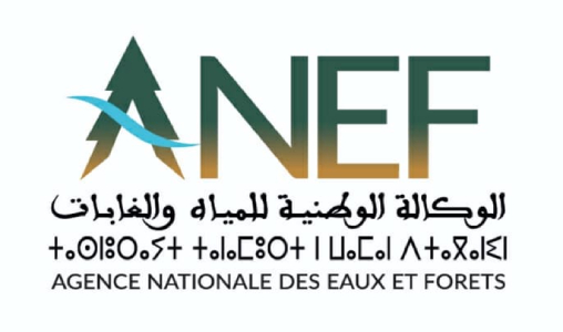 بالفيديو:الوكالة الوطنية للمياه والغابات تطلق برنامجا طموحا لإعادة توطين غزال الأروي بالأطلس الكبير الشرقي