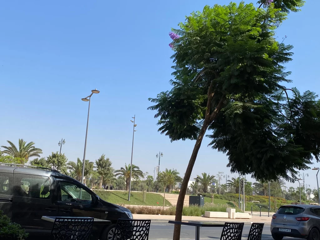 طقس الأربعاء: أجواء حارة نسبيا بالجنوب والجنوب الشرقي.. وغيوم خفيفة بشمال المملكة