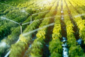 أكادير تحتضن منتدى Agri-Water 2025: ابتكار تكنولوجي من أجل فلاحة ذكية وتدبير مستدام للماء