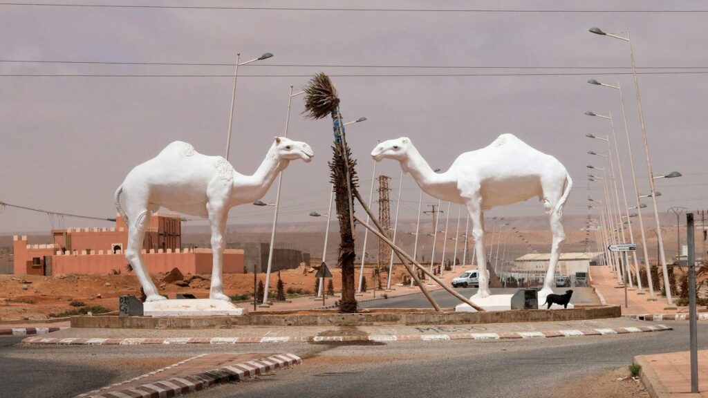 طانطان تحتفل بالذكرى الخمسين للمسيرة الخضراء بإطلاق مشاريع تنموية شاملة