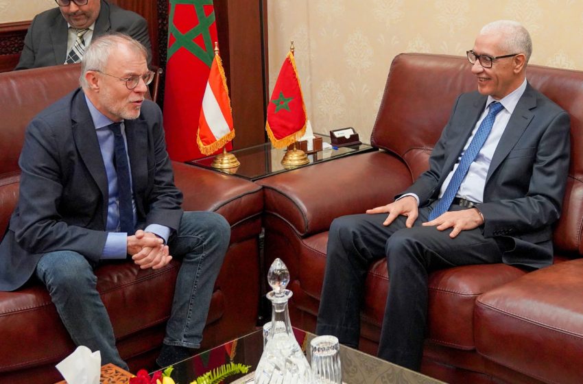 المغرب والنمسا يؤكدان تعزيز التعاون البرلماني والاقتصادي