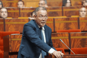 لقجع: مشروع قانون المالية 2026 يرسخ الدولة الاجتماعية ويحافظ على التوازنات الماكرو-اقتصادية
