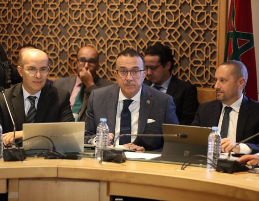 الوكالة المغربية للأدوية تؤكد على سيادة دوائية وآليات مراقبة صارمة لضمان سلامة المواطنين
