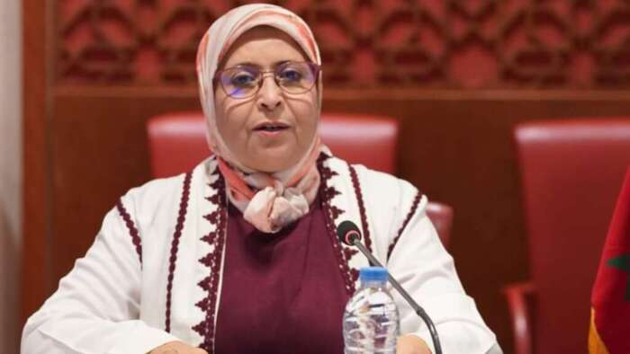 النائبة نعيمة الفتحاوي: قانون مالية 2026 يفتقر للعدالة الاجتماعية والشفافية ويكرس الريع