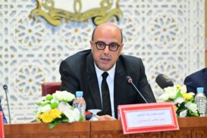 ولد الرشيد: الريادة التشريعية قاطرة لتعزيز مكانة إفريقيا في النظام الدولي
