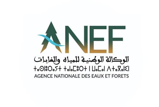اختتام موسم قنص الطرائد المستقرة 2025–2026: حصيلة إيجابية والتزام متجدد بالقنص المستدام