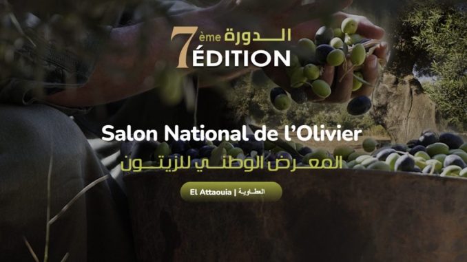 انطلاق الدورة السابعة للمعرض الوطني للزيتون بمراكش تحت شعار « الزيتون: تراث وطني ورمز للصمود »