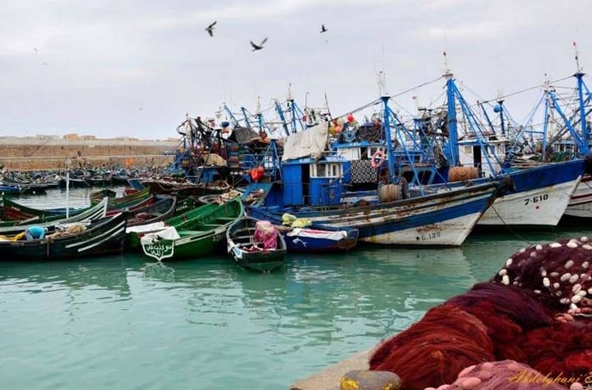 ميناء طانطان يسجل ارتفاعا قياسيا في مفرغات الصيد الساحلي والتقليدي خلال 2025