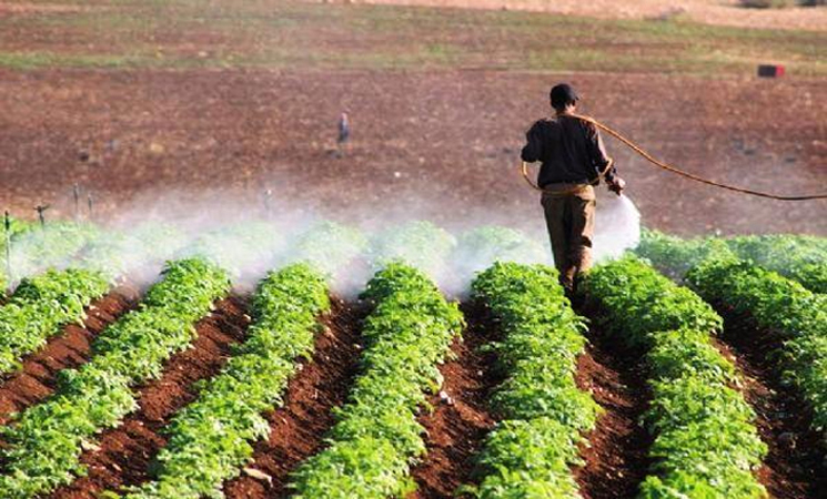 إطلاق مشروع “أرضنا تحتاجنا” لدعم التشغيل والزراعة الإيكولوجية بجهة فاس–مكناس