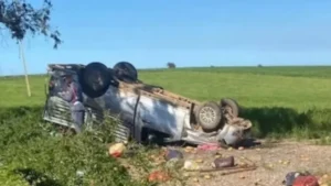 مصرع 6 عمال زراعيين وإصابة 8 آخرين في انقلاب سيارة ضواحي الجديدة