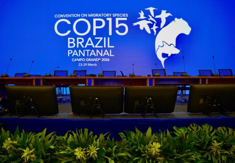 انطلاق مؤتمر “COP15” بالبرازيل لتعزيز حماية الأنواع المهاجرة بمشاركة المغرب