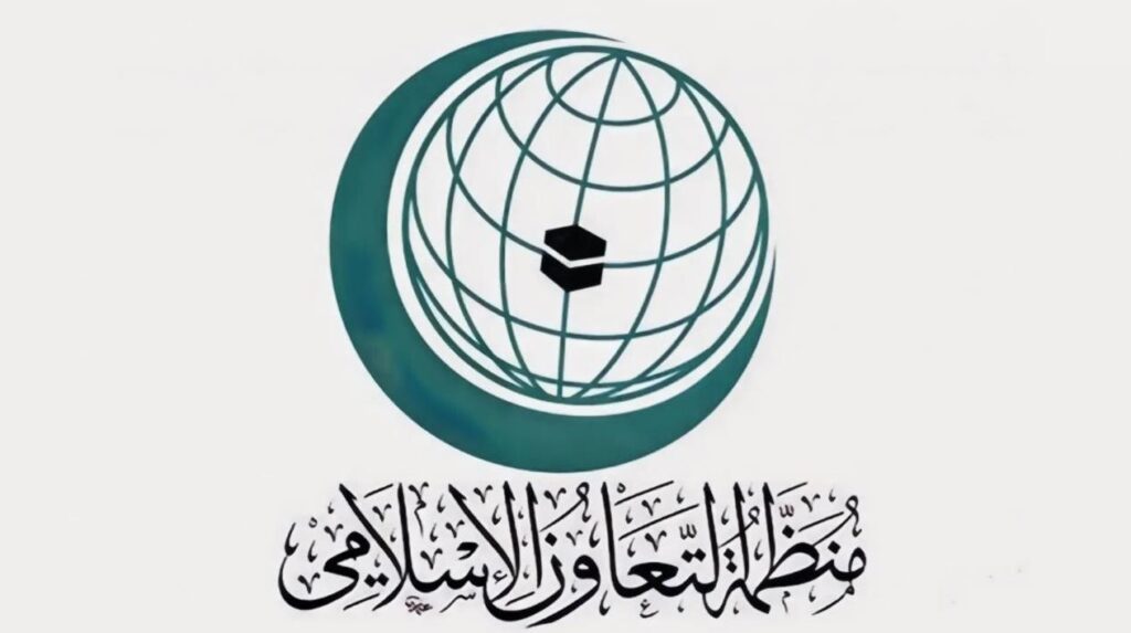 منظمة التعاون الإسلامي تندد بالضربات الإسرائيلية جنوب سوريا وتدعو لتحرك دولي عاجل