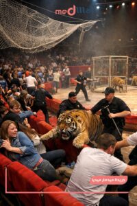 شهد سيرك في مدينة روستوف نا دونو الروسية