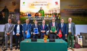 مكناس: شراكة بين المغرب و »الفاو » لتعزيز حماية التراث الزراعي وتثمين النظم التقليدية