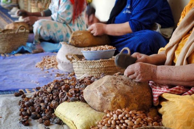 طاطا: المبادرة الوطنية للتنمية البشرية تعزز التمكين الاقتصادي للنساء عبر دعم تعاونية “تيتبرين نتغيت”