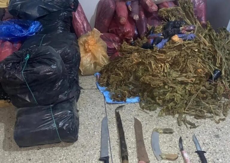 الدرك الملكي بتارودانت يحجز كميات من المخدرات ويوقف أربعة أشخاص خلال عملية أمنية