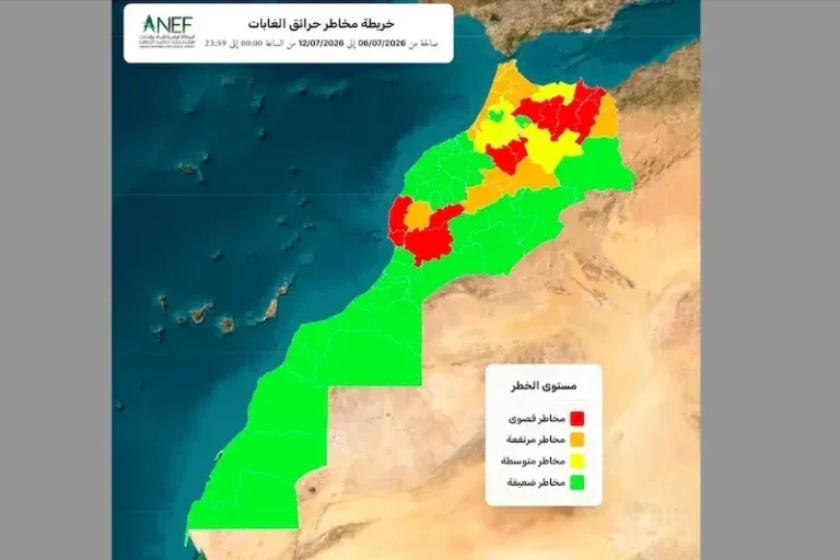 الوكالة الوطنية للمياه والغابات تحذر من ارتفاع خطر الحرائق بعدد من أقاليم المملكة